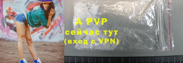 круглые Белокуриха