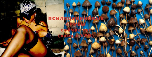 круглые Белокуриха