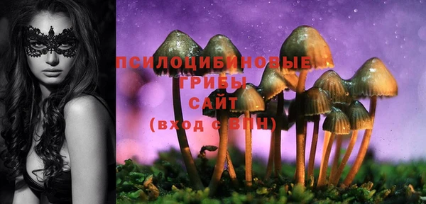 молекула духа Беломорск