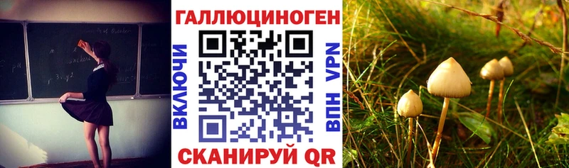 где купить наркоту  Михайлов  Псилоцибиновые грибы мухоморы 